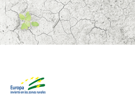 Plan Municipal contra el Cambio Climático