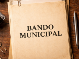 BANDO MUNCIPAL BASES REGULADORAS PARA CONTRATACIÓN EXTRAORDINARIA 1 RECEPCIONISTA DE CAMPING